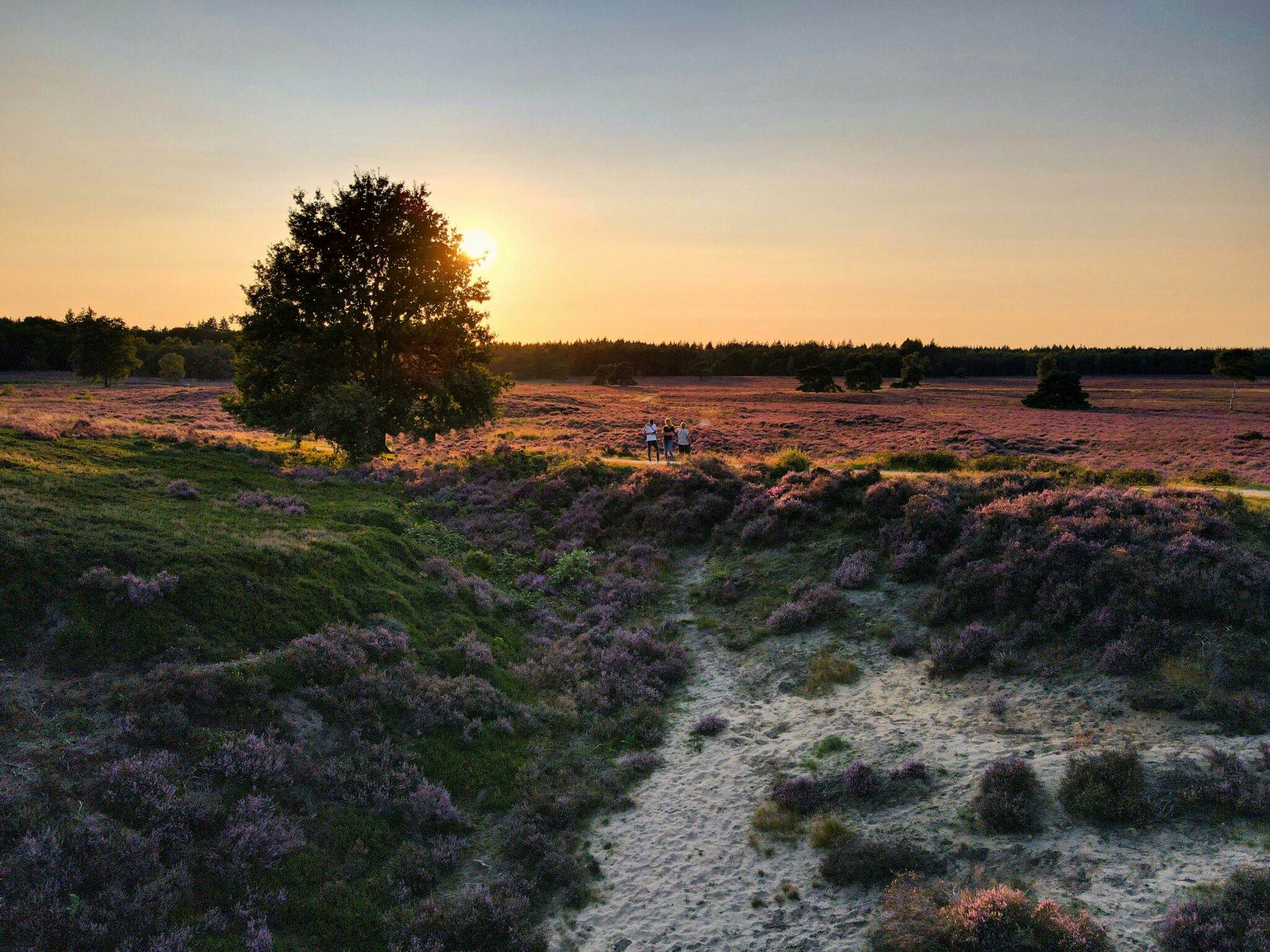 Wandelaars op de heide tijdens een microadventure in Nederland