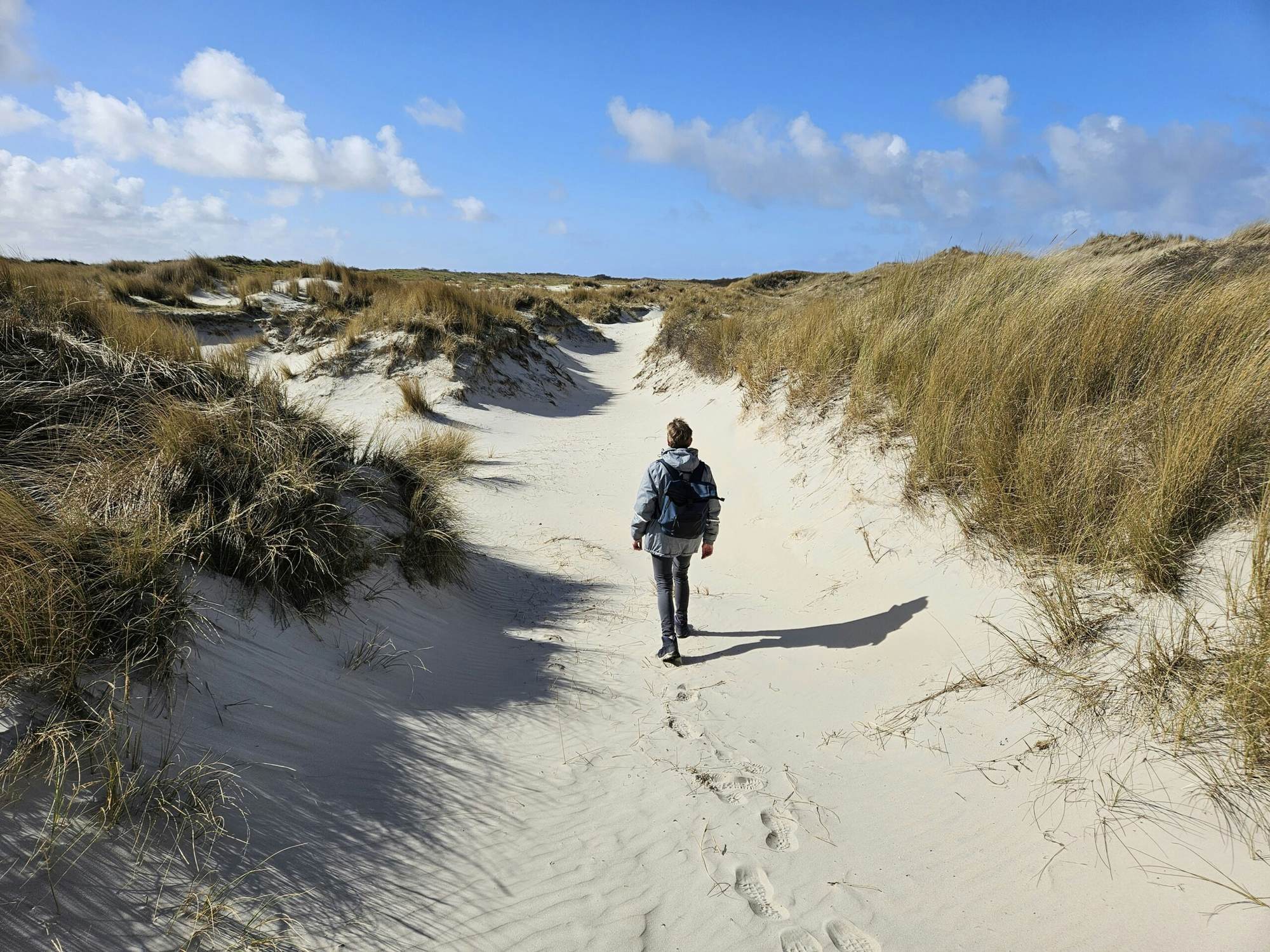 7 wandelroutes voor beginners in Nederland