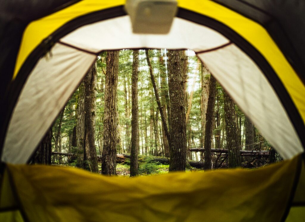 Uitzicht vanuit een tent tijdens de eerste keer buiten slapen